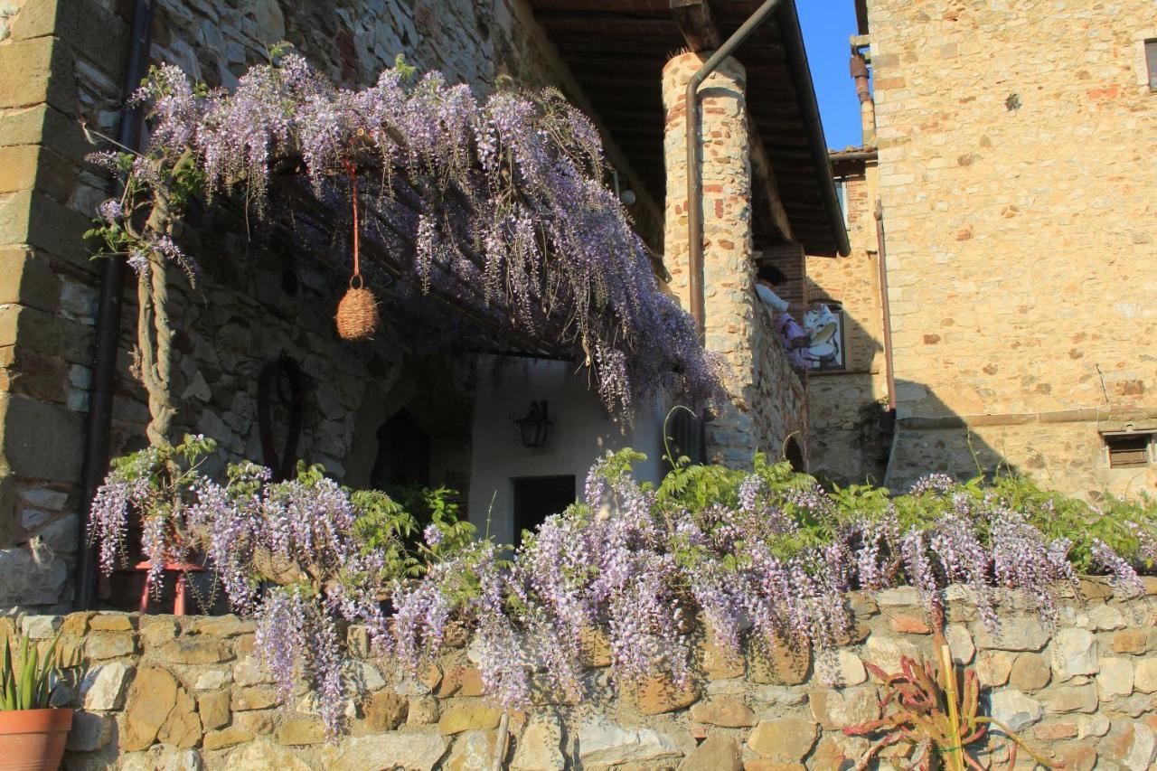 Case Di Vetulonia Castiglione della Pescaia Dış mekan fotoğraf