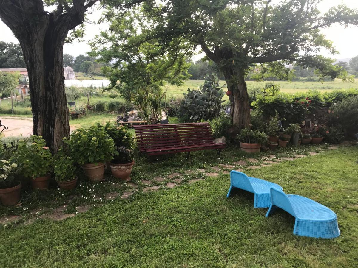 Case Di Vetulonia Castiglione della Pescaia Dış mekan fotoğraf